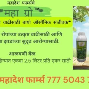 Maha Grow