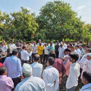 WhatsApp Image 2025-09-17 at 1.56.48 PM