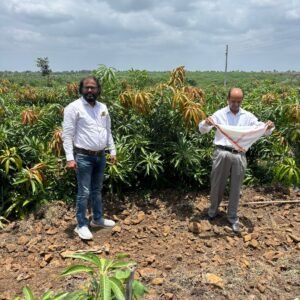 WhatsApp Image 2025-09-17 at 1.56.53 PM