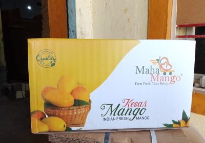 WhatsApp Image 2025-09-15 at 8.17.35 PM